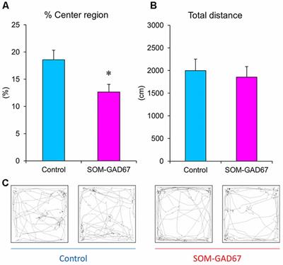 Loss of Glutamate Decarboxylase 67 in Somatostatin-Expressing Neurons Leads to Anxiety-Like Behavior and Alteration in the Akt/GSK3β Signaling Pathway